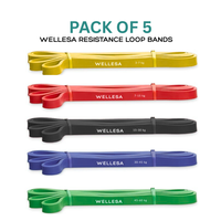 Wellesa Resistance Bands Set for Exercise & Stretching, & Workout (Pack of 5)